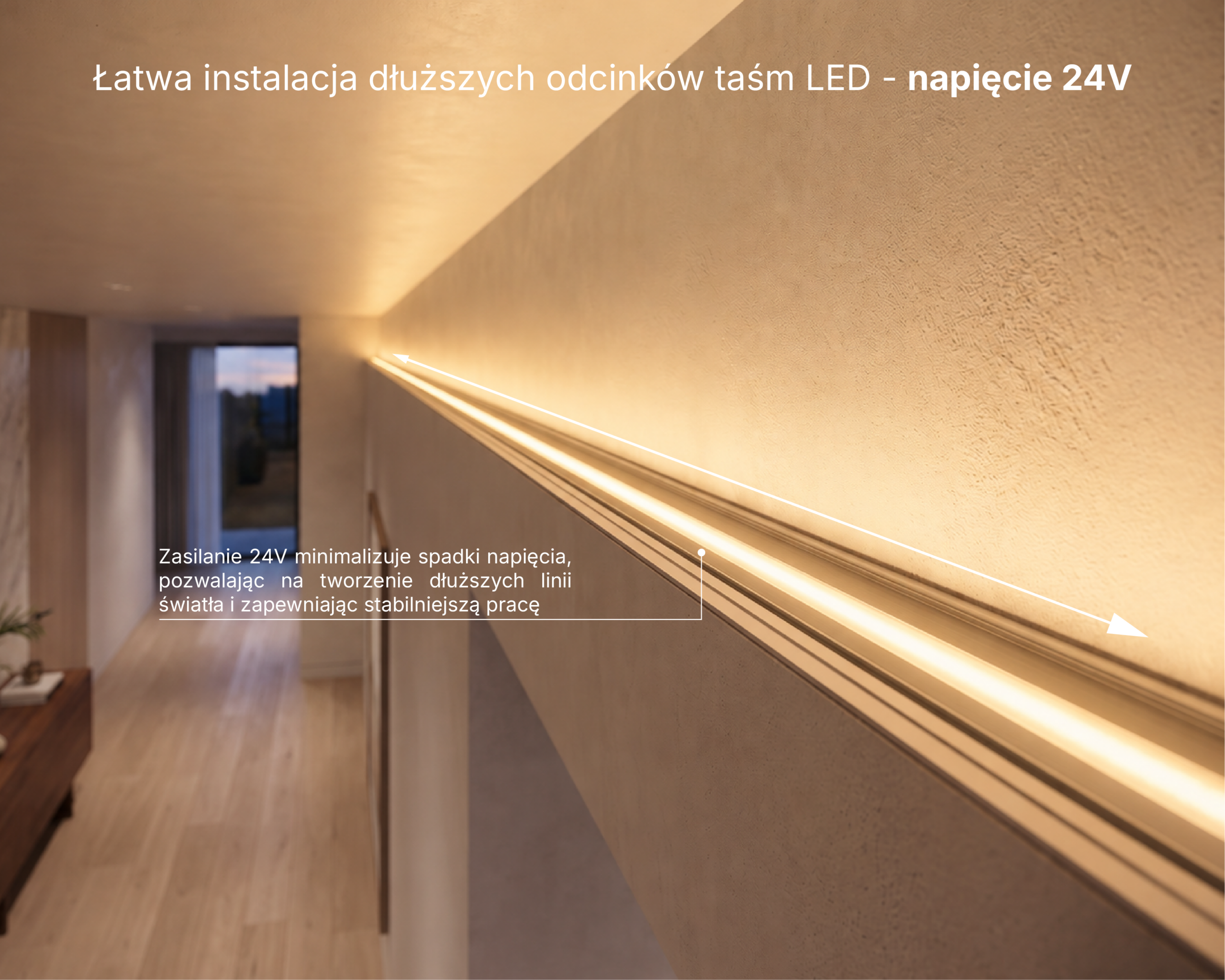 taśma_LED_infografiki_napiecie_24V_v2_3000K taśma_LED_infografiki_napiecie_24V_v2_3000K