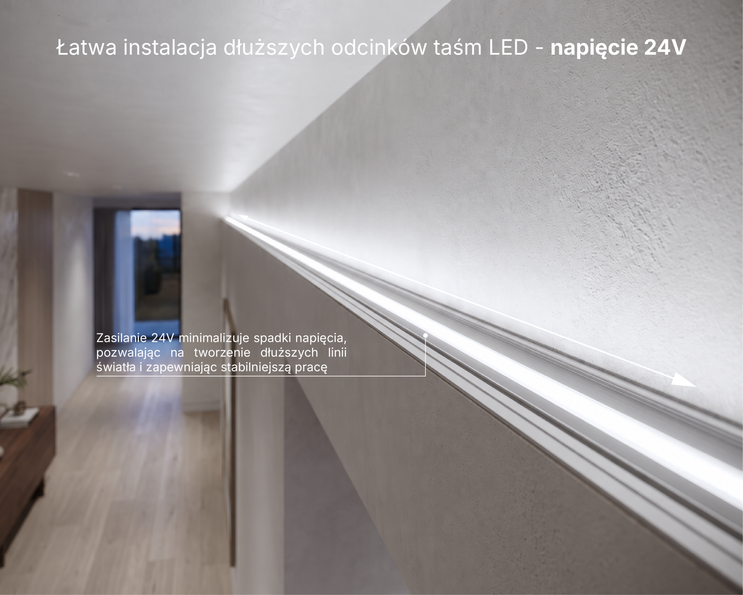 taśma_LED_infografiki_napiecie_24V_v2_5000K taśma_LED_infografiki_napiecie_24V_v2_5000K