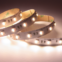 Taśma LED RGBW 24V 4000K