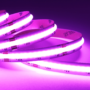 Taśma zoomLED® COB FOB 15W LED IP20 RGB świecąca w kolorze fioletowym z bliska