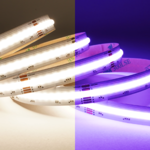 Taśma zoomLED® COB FOB LED 16W IP20 RGBW świecąca w kolorze fioletowym i białym