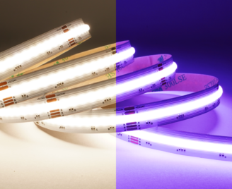 Taśma zoomLED® COB FOB LED 16W IP20 RGBW świecąca w kolorze fioletowym i białym