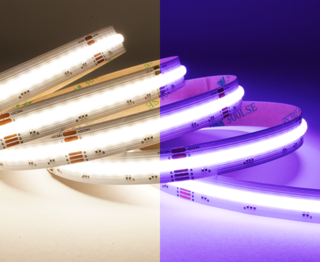 Taśma zoomLED® COB FOB LED 16W IP20 RGBW świecąca w kolorze fioletowym i białym