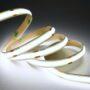 taśma led cob zasilana napięciem 24v marki zoomled taśma led cob zasilana napięciem 24v marki zoomled