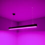 lampa_wiszaca_na_linkach_claro_czarna_rgbcct_fioletowy_ lampa_wiszaca_na_linkach_claro_czarna_rgbcct_fioletowy_