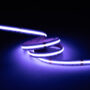 rgbw_3k_tasma_2 rgbw_3k_tasma_2